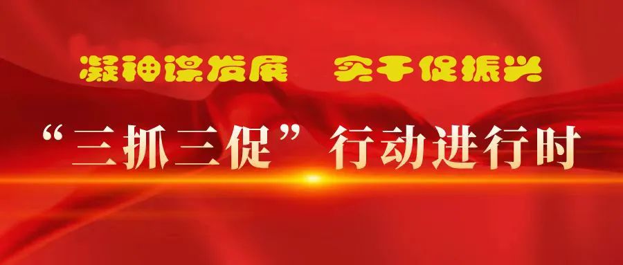 “三抓三促”進(jìn)行時 | 多措并舉強(qiáng)本領(lǐng) 精準(zhǔn)落實謀發(fā)展 —— 張掖市敦煌種業(yè)有限公司落實“三抓三促行動”紀(jì)實